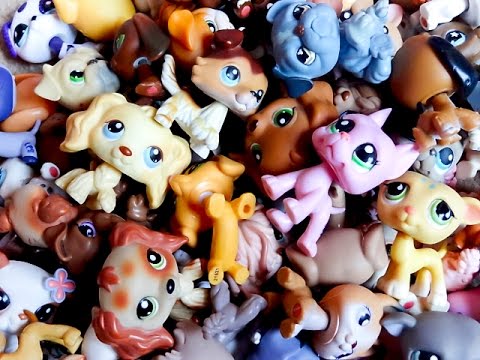 My Littlest Pet Shop Collection! (Part 2) - YouTube