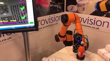 Collaborative Robots & Vision Working Together