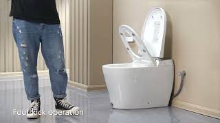 Casta Diva CD-Y060 Smart Toilet with Built-in Tank