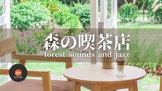 Ambient sounds + JAZZ Gentle forest coffee shop Relaxing work/study CAFE MUSIC - BGM for work