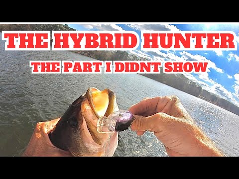 Hybrid Hunter (The Part I Didnt Show)