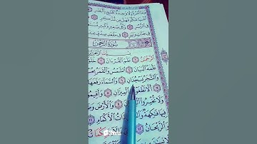 القاريء الشيخ ياسر الدوسري❤️🍂....سورة الرحمن #quran #اكتب_شي_توجر_عليه