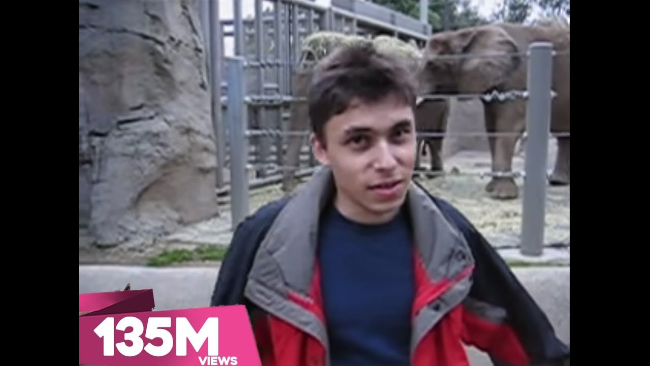 Me At The Zoo ( Mystery Video  )