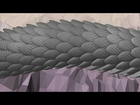 Adobe After Effects: Digital Dragons