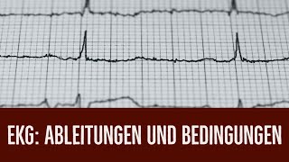 EKG: Ableitungen und Aufnahmebedingungen, Врачи в Германии