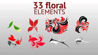 33 floral elements (60 fps)