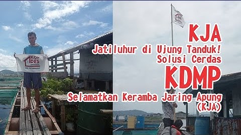 RUKO  | Jatiluhur di Ujung Tanduk! Solusi Cerdas KDMP Selamatkan Keramba Jaring Apung (KJA)