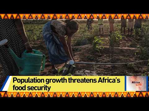 Population growth threatens Africa’s food security