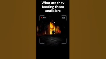 Content Warning Moment  #contentwarning #contentwarningfunnymoments