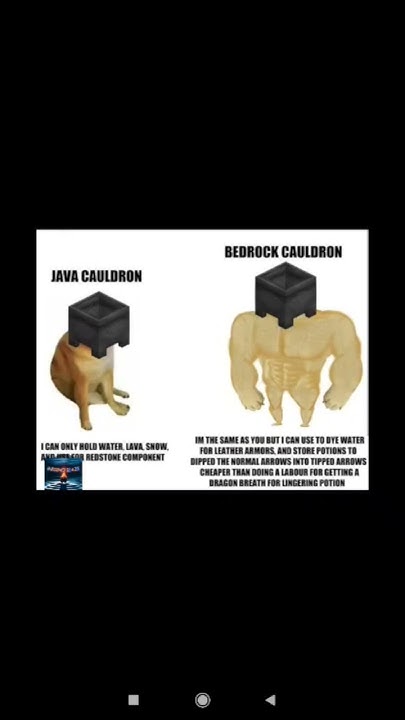 Java cauldron vs bedrock cauldron #subscribe #gaming #minecraft - YouTube