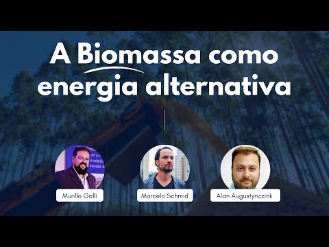 A Biomassa como energia alternativa - Bate papo com Murillo Galli