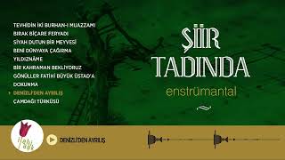 Erkan Mutlu - Denizliden Ayrılış (Denizliden Ayrılık Destanı) Enstrümantal Fon Müziği Resimi