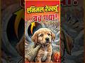 Emotional Animal Rescue: इस बेज़ुबान को कैसे निकाला? 🥺 Humanity Still Exists #animalrescue #rescue