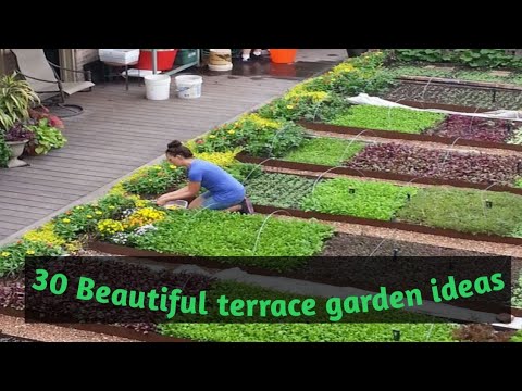 Beautiful terrace garden ideas - YouTube