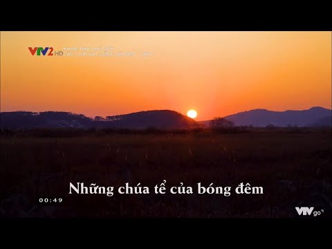 Video: Động Vật Nào Sống Về đêm