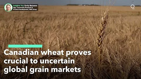Why Canadian Wheat Matters for Global Markets