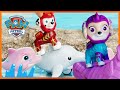 Aqua Pups Save Baby Dolphins | PAW Patrol | Toy Play for Kids