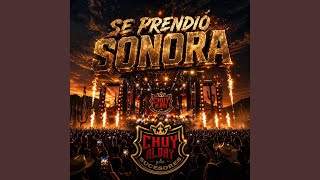 La Movidita (Live)