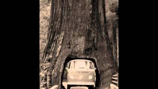 Mighty Oaks - Driftwood Seat