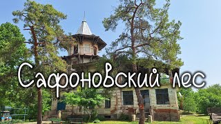 Экотропа в Сафоновском лесу, Ставропольский край