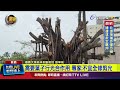 環保與社會現象