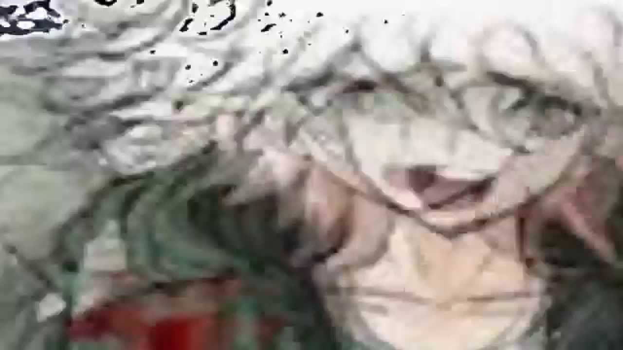 jizz in my pants - DR&SDR2 crack mep [part 16] - YouTube