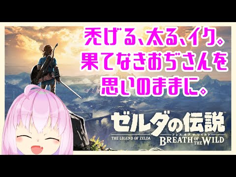 【 #ゼルダの伝説ブレスオブザワイルド 】禿げるも太るも余計だろうがよ【 #VTuber  】