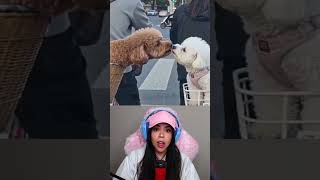 Ele Tava Apaixonado #shorts