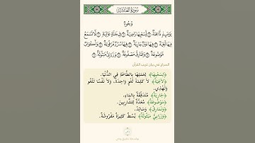 السراج في بيان غريب القران سورة الغاشية 2 تلاوة الشيخ سعد الغامدي