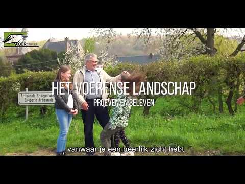 Video: Proeven In Een Landschap