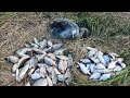 Неплохой улов в осенней реке, кастиговая сеть не подвела.