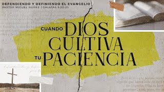 Cuando Dios cultiva tu paciencia - Pastor Miguel Núñez | La IBI