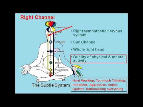 Chakra Chart Sahaja Yoga