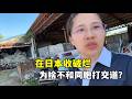 在日本收破烂,为啥不乐意和同胞交朋友打交道?太累了