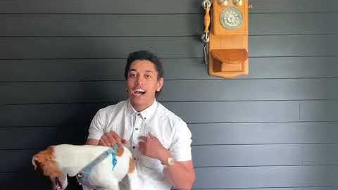 ENC 1102 Student Introduction