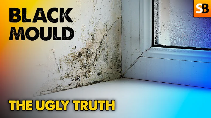 The Ugly Truth About Black Mould - DayDayNews