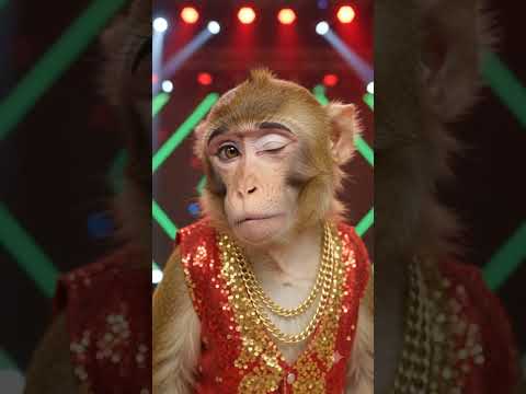 Trending Bhojpuri Music Video Trailor Dance & Romantic Romance 😂💃 | Funny