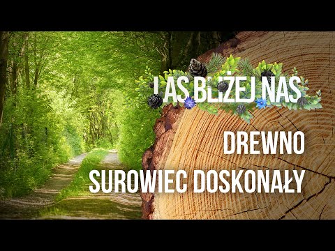 Las bliżej nas - Drewno - surowiec doskonały