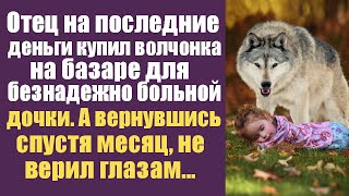 Отец на последние деньги купил волчонка на базаре для безнадежно больной дочки!А вернувшись не верил