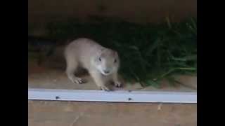 CIMG0648.AVI