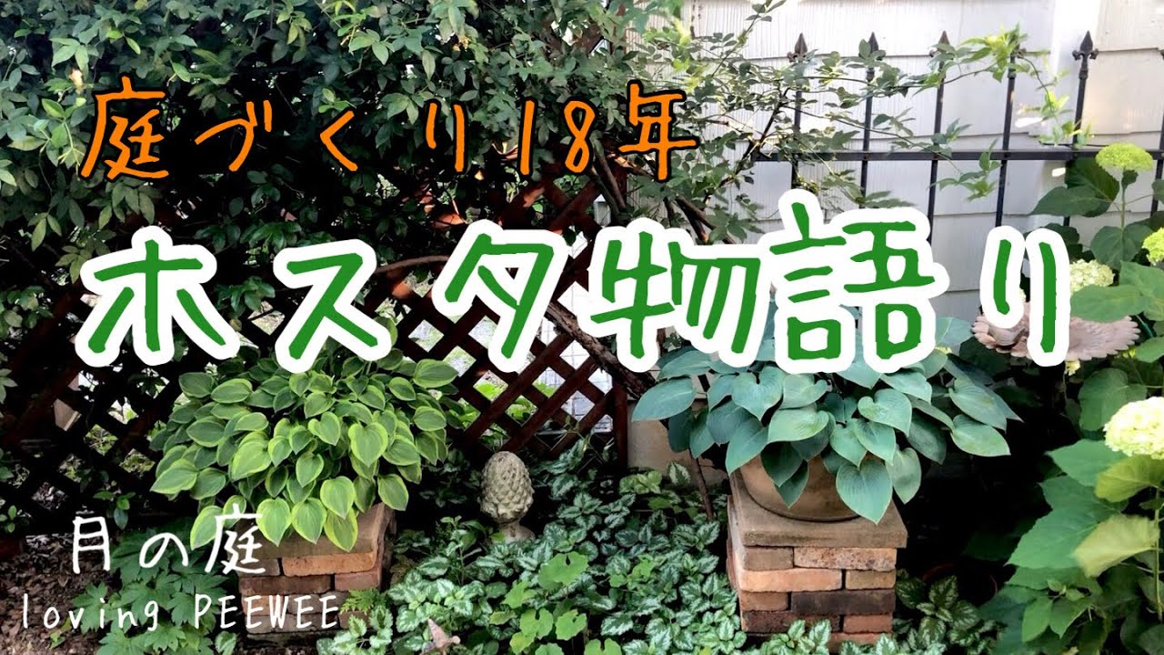 18 Years of Gardening: The Hosta Story - YouTube