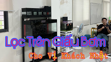 Hồ Lọc Trên Giấu Bơm Chi Phí Thấp và Hiệu Quả