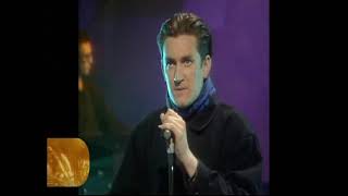 The Beautiful South, I'll Sail This Ship Alone