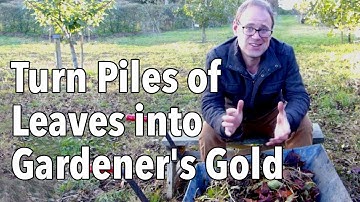 How to Make Leaf Mold: Turn Fallen leaves into gardener