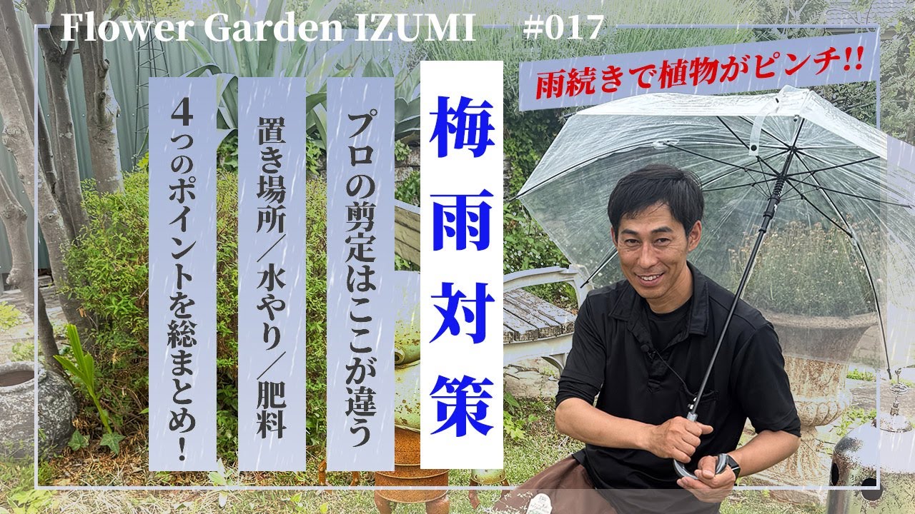Grow well even during the rainy season! A thorough explanation of