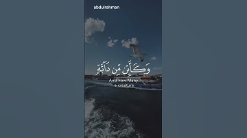 قارئ عبد الرحمن مسعد -سورة النحل  اية ٤٢