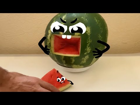 سورة البقرة تلاوة مرتلة بصوت الشيخ ياسر الدوسري