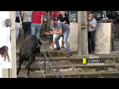 Tourada à corda em Santo Amaro Ribeirinha, Ribeirinha, 10 de junho de 2023