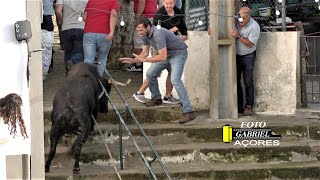 Tourada à Corda Santo Amaro Ribeirinha 10 Junho 2023 J.G. AÇORES