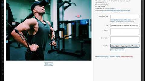 Custom Post Types and Taxonomies